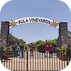 Sula Vineyards