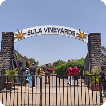 Sula Vineyards