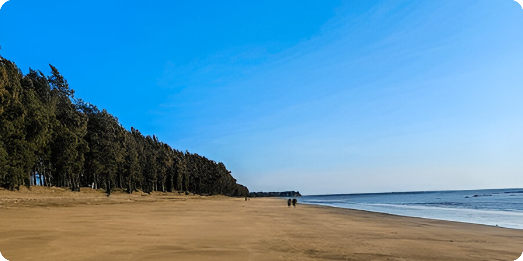 Chikhla Beach