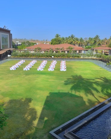 Emerald lawn (2)