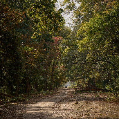 Untitled design (19)