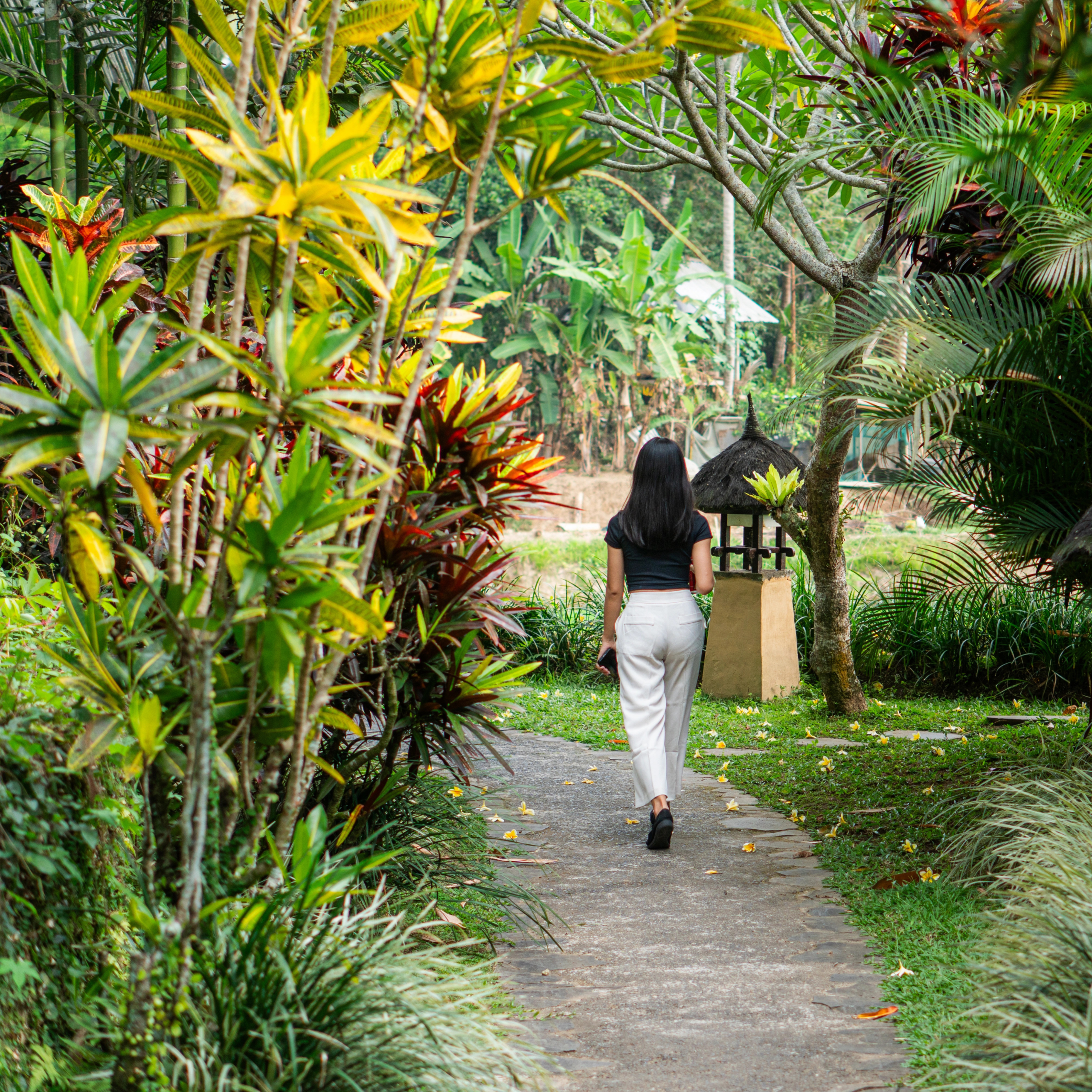 Untitled design (54)