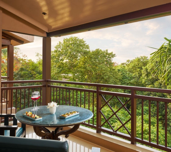 DGV_SuperDeluxView-1