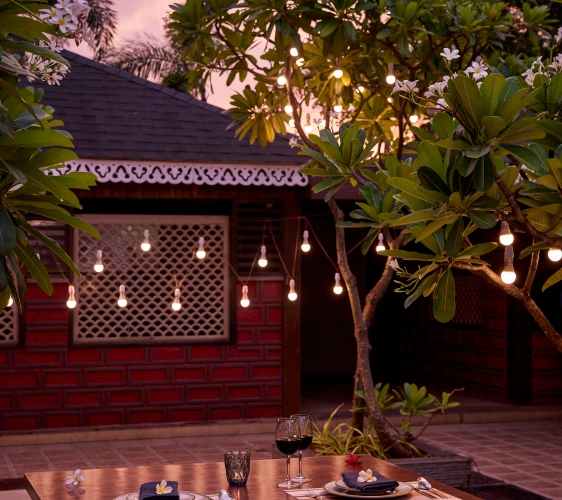 SDT_DINING EXPERIENCE_MAY20255459