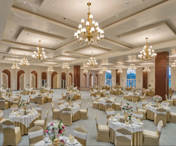 Untitled-design-20-1