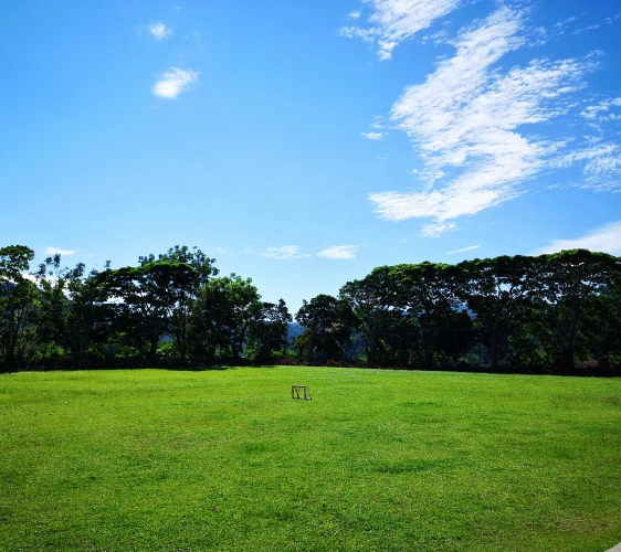 alex-chan-u-PcWmDP-h8-unsplash